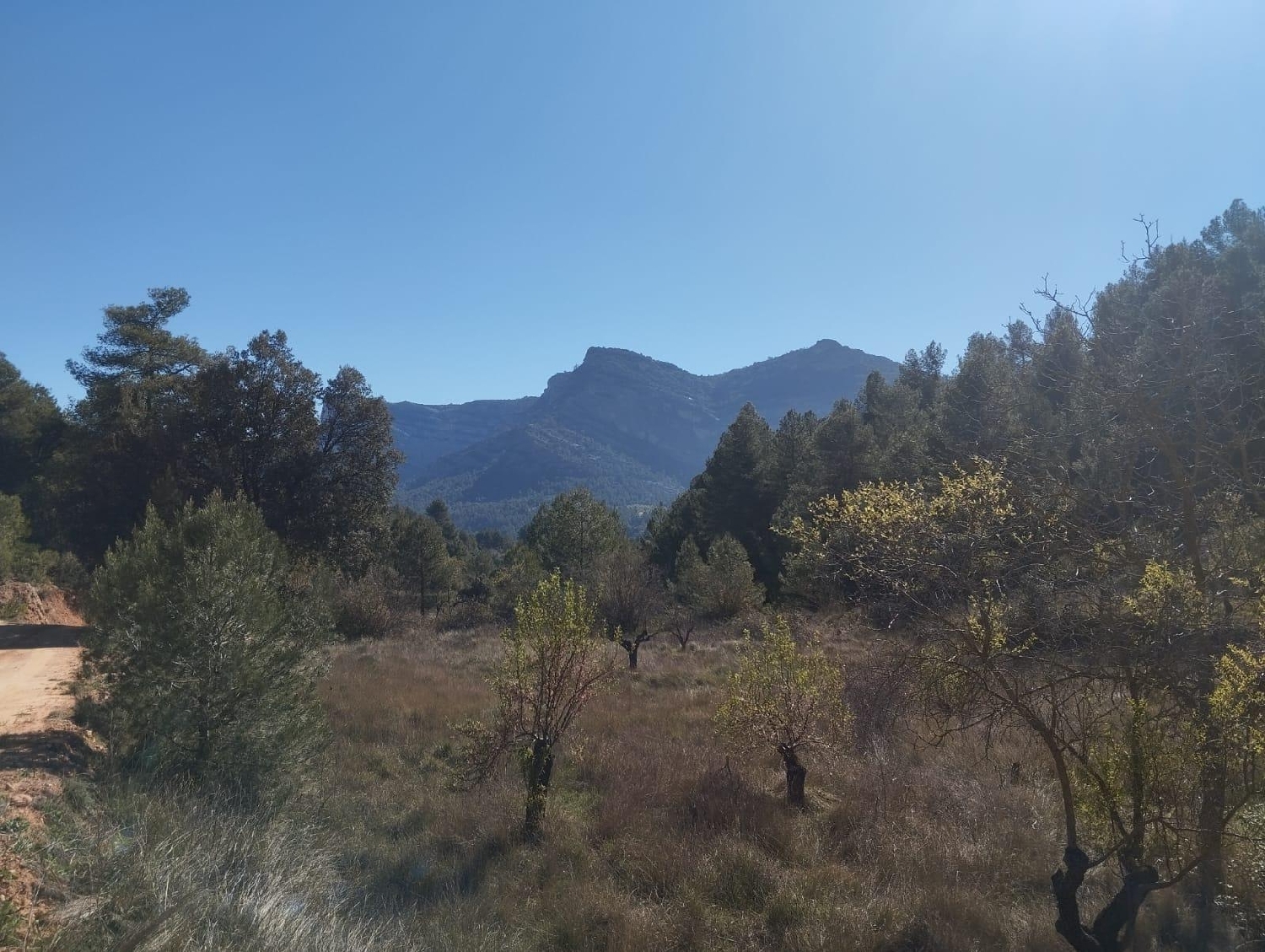  till salu hus på landet Beceite Matarraña 6