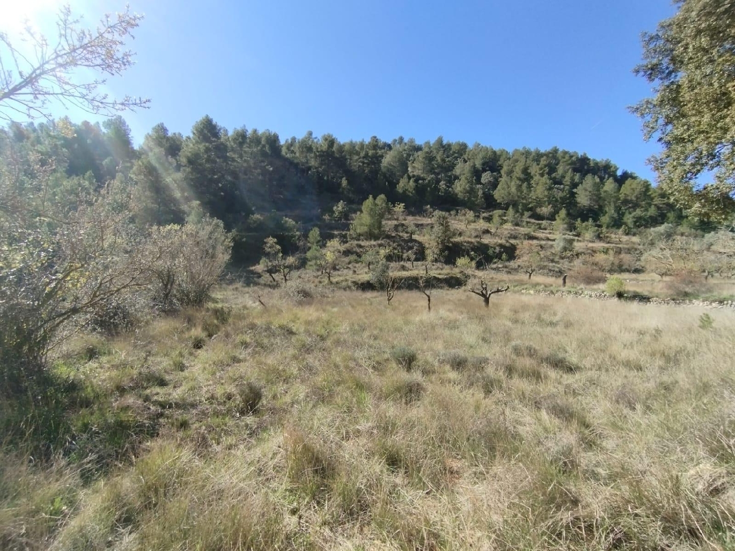  till salu hus på landet Beceite Matarraña 7