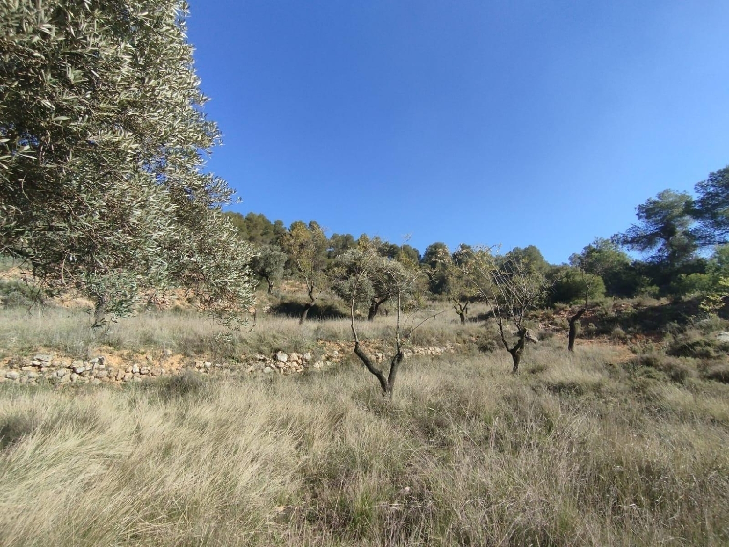  till salu hus på landet Beceite Matarraña 8