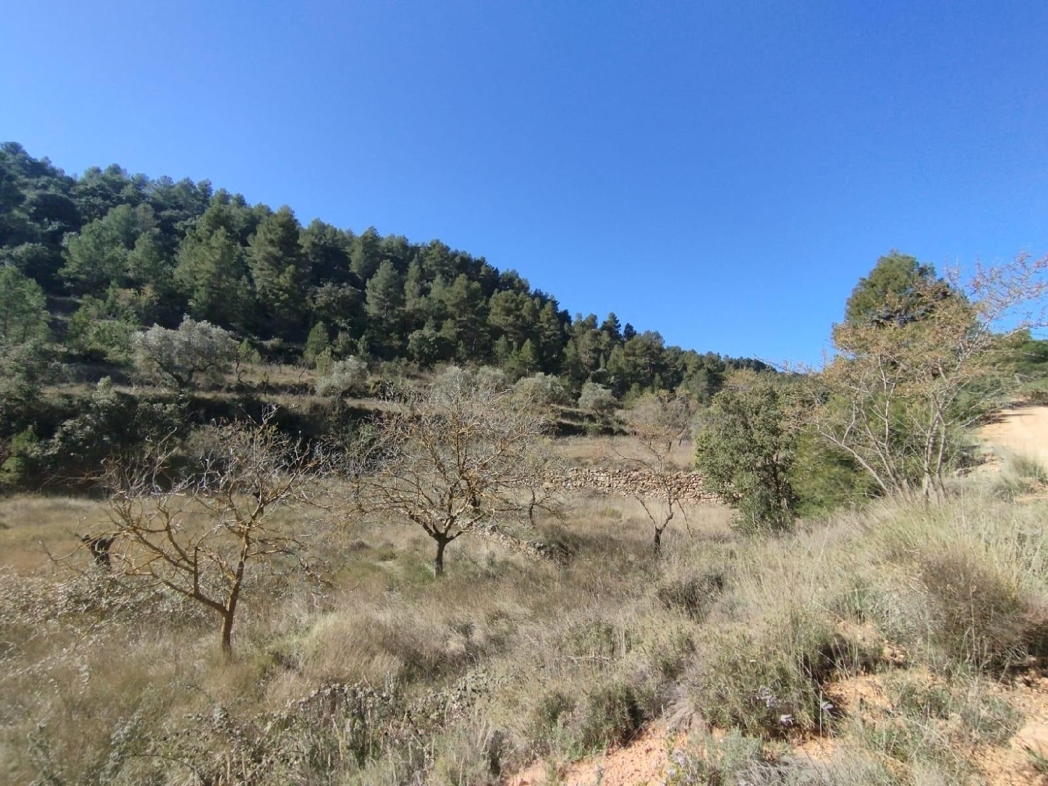  till salu hus på landet Beceite Matarraña 5