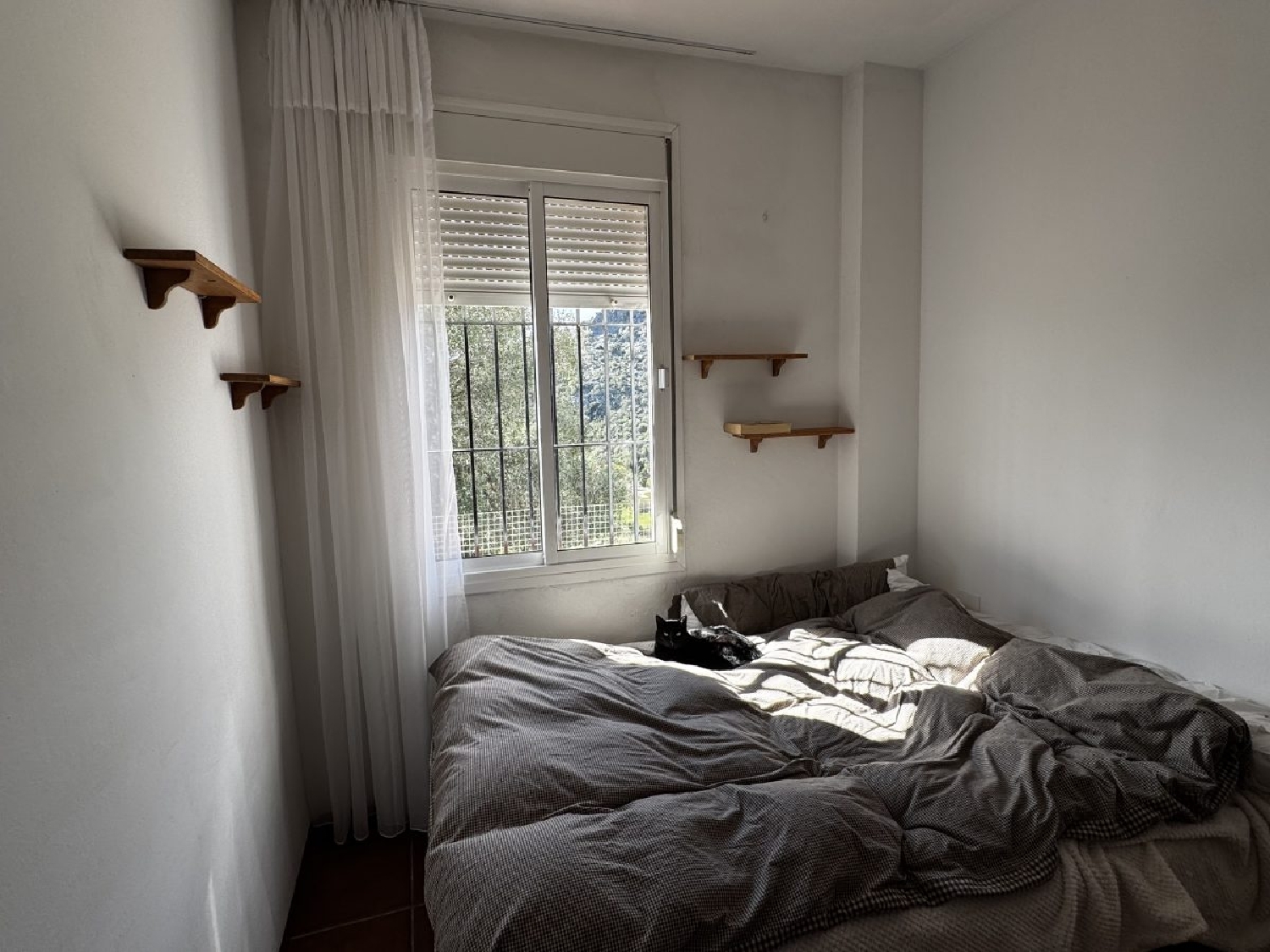  kaufen Landhaus Benaocaz Sierra De Cádiz 9