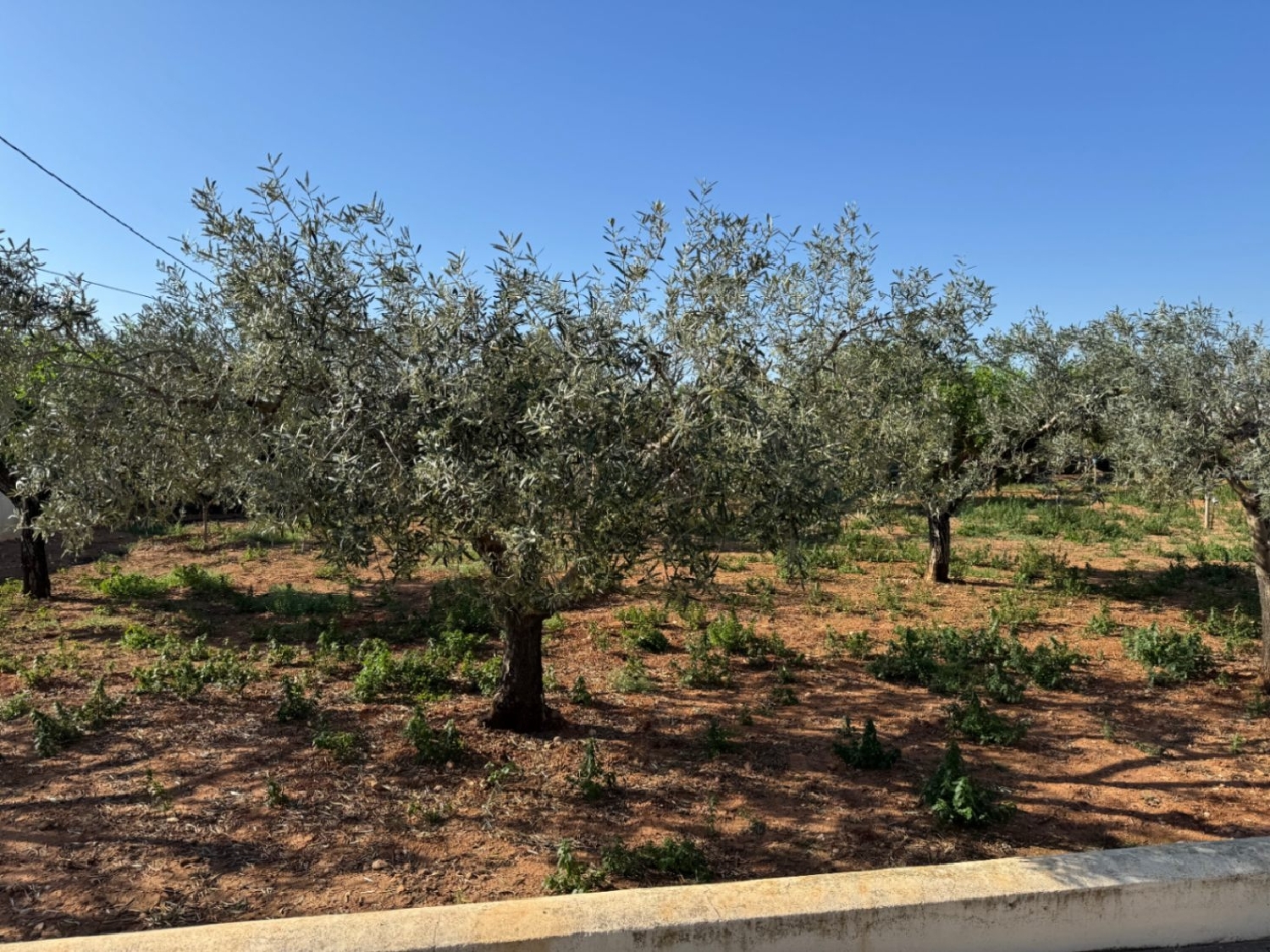  à vendre maison de campagne Benissa Marina Alta 3