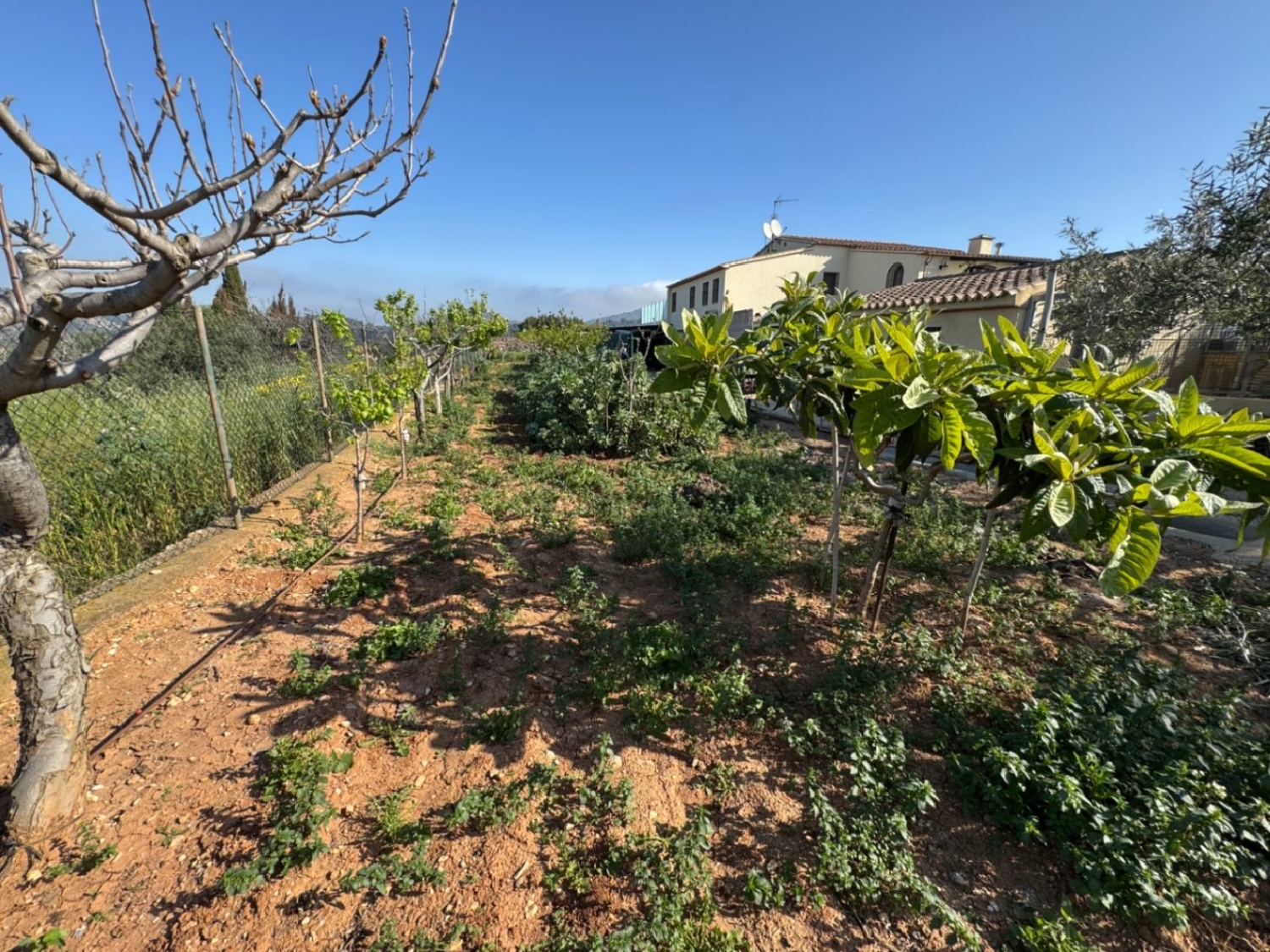  à vendre maison de campagne Benissa Marina Alta 23