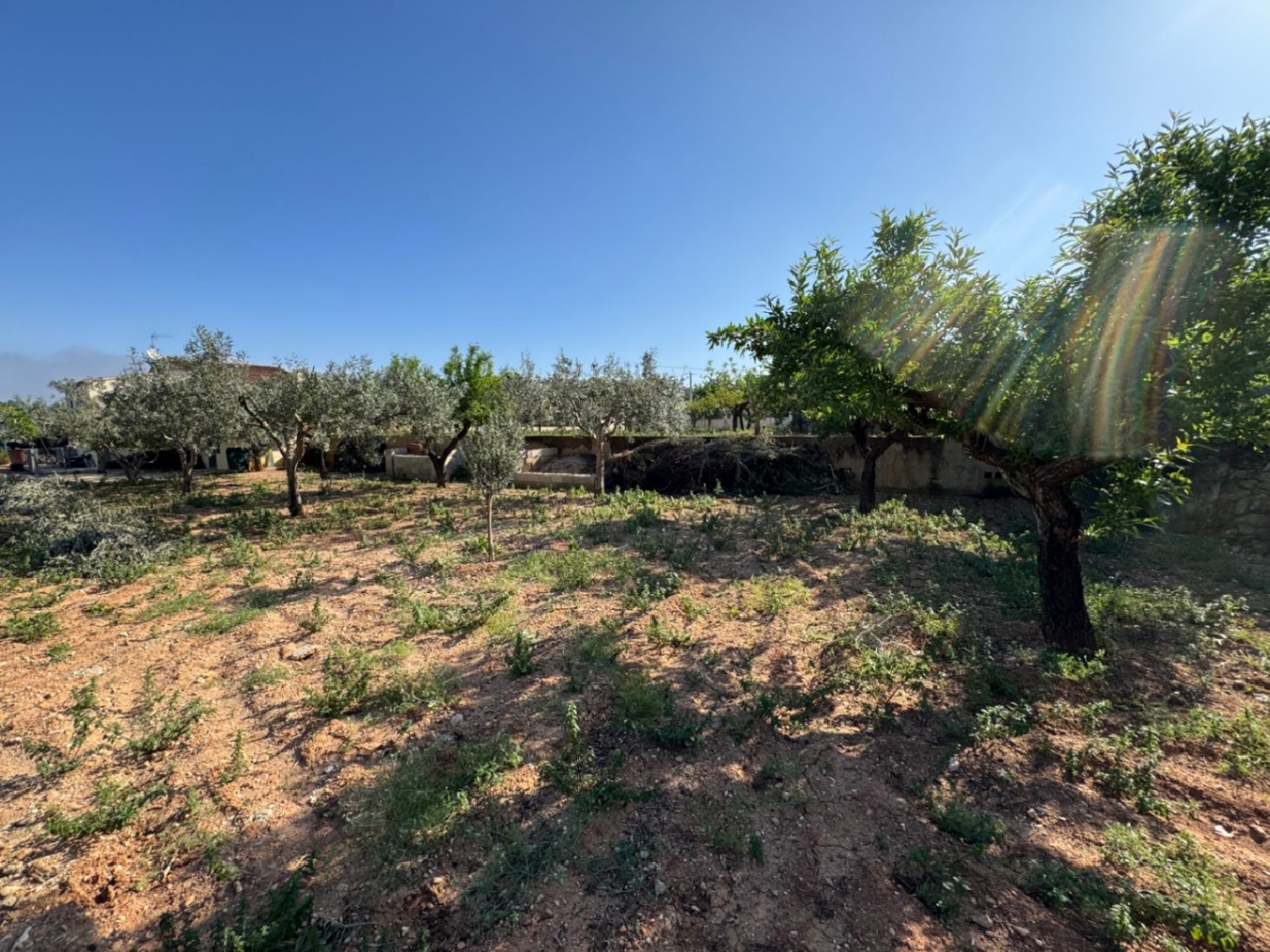  à vendre maison de campagne Benissa Marina Alta 19