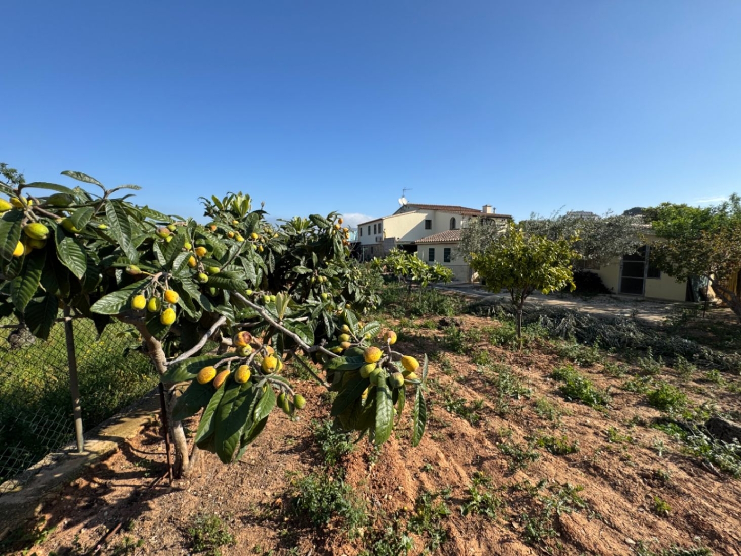 à vendre maison de campagne Benissa Marina Alta 22