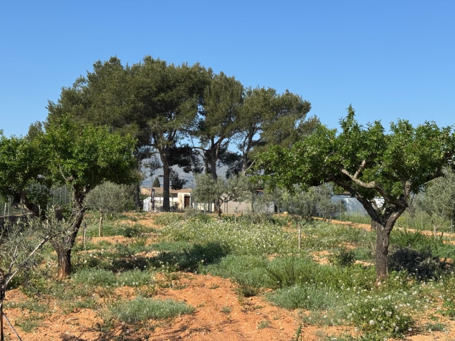  à vendre maison de campagne Benissa Marina Alta 2