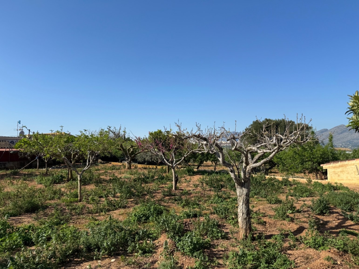  à vendre maison de campagne Benissa Marina Alta 6