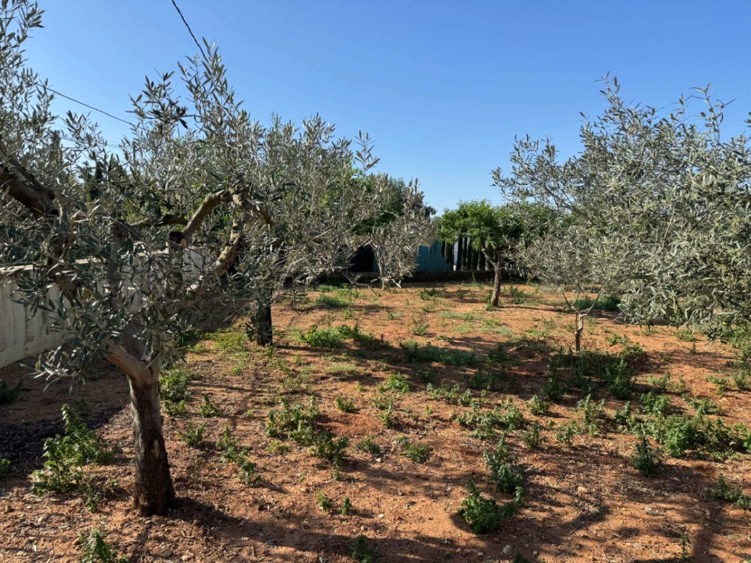  à vendre maison de campagne Benissa Marina Alta 5