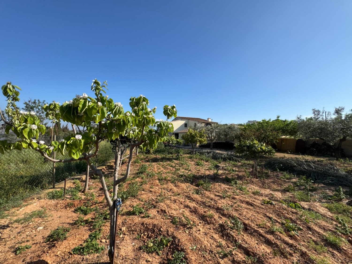  à vendre maison de campagne Benissa Marina Alta 21