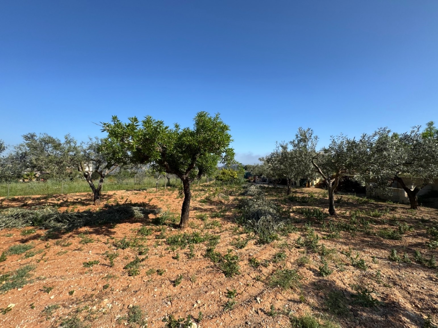  à vendre maison de campagne Benissa Marina Alta 20