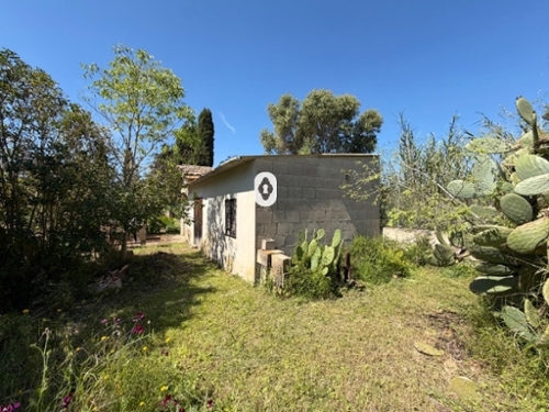 Binissalem Raiguer boerderij foto 6376258