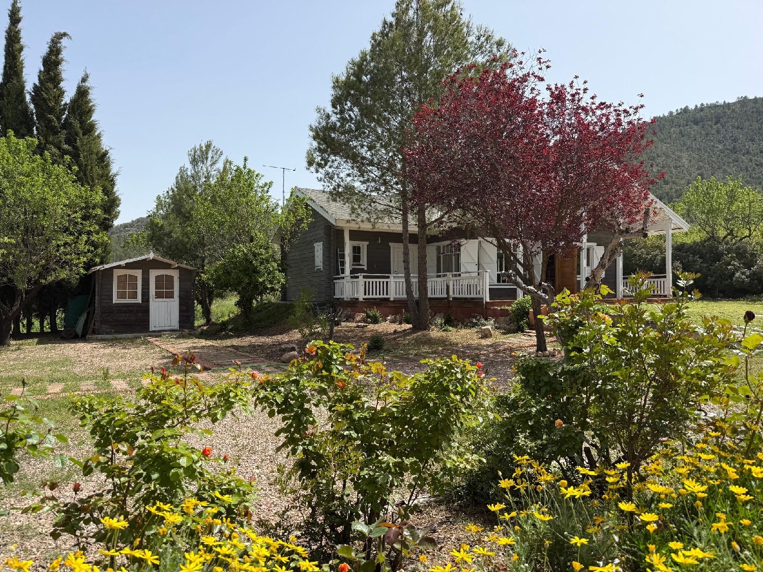  till salu hus på landet Bullas Noroeste 2