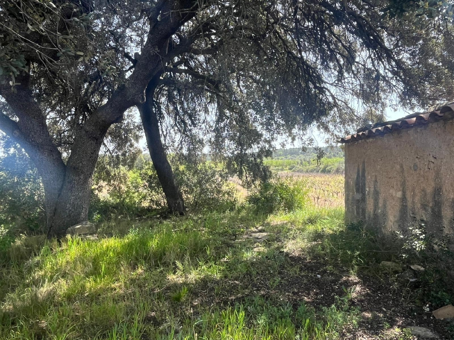  till salu hus på landet Calaceite Matarraña 6