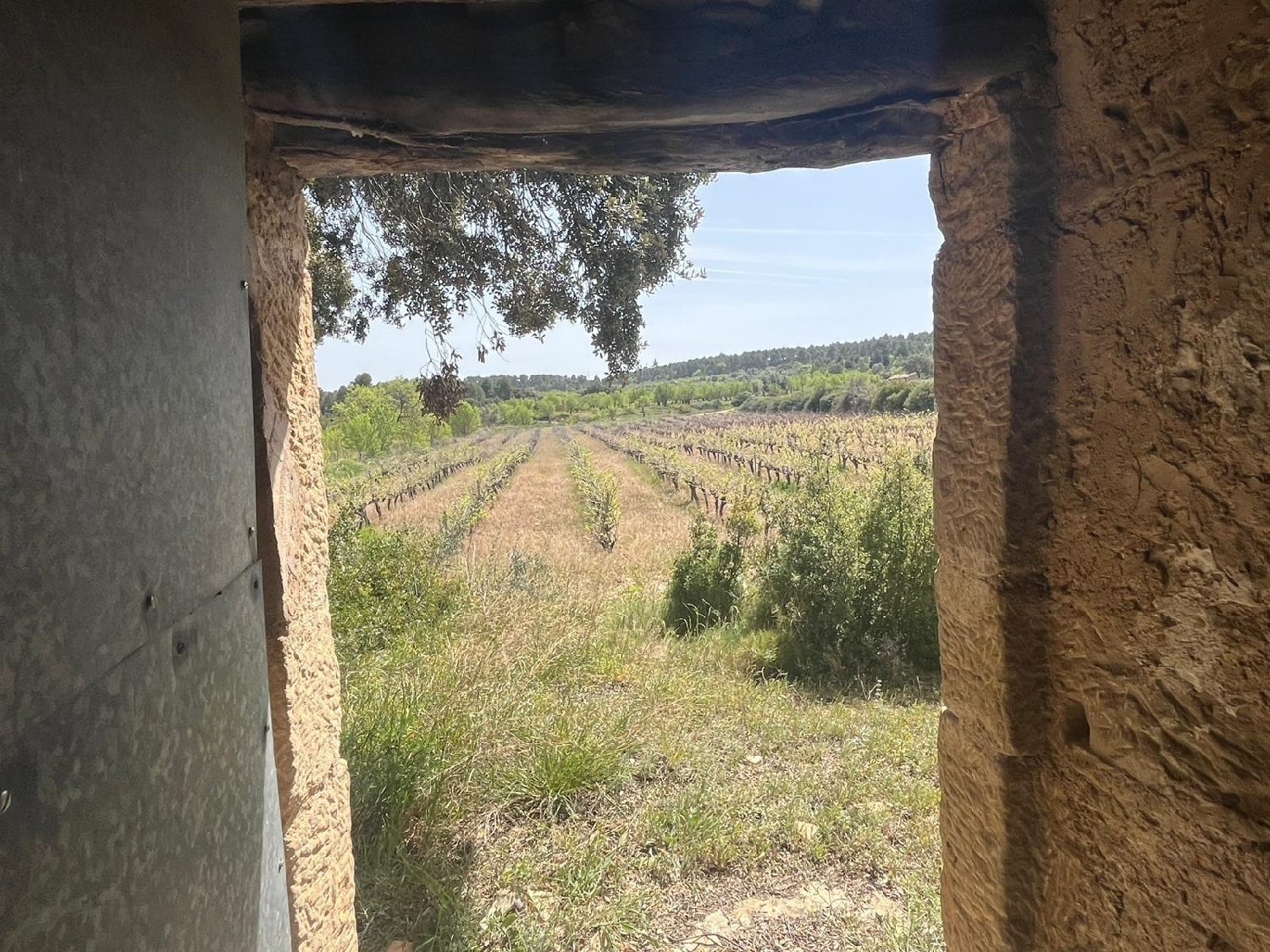  till salu hus på landet Calaceite Matarraña 5