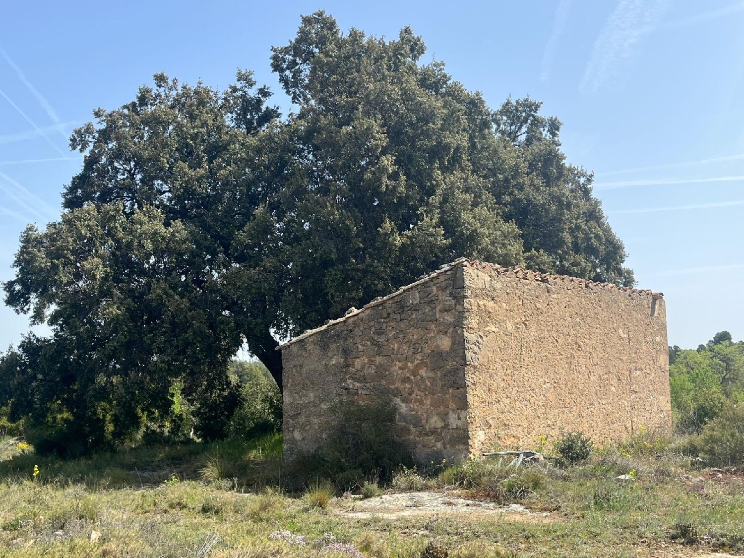  till salu hus på landet Calaceite Matarraña 1