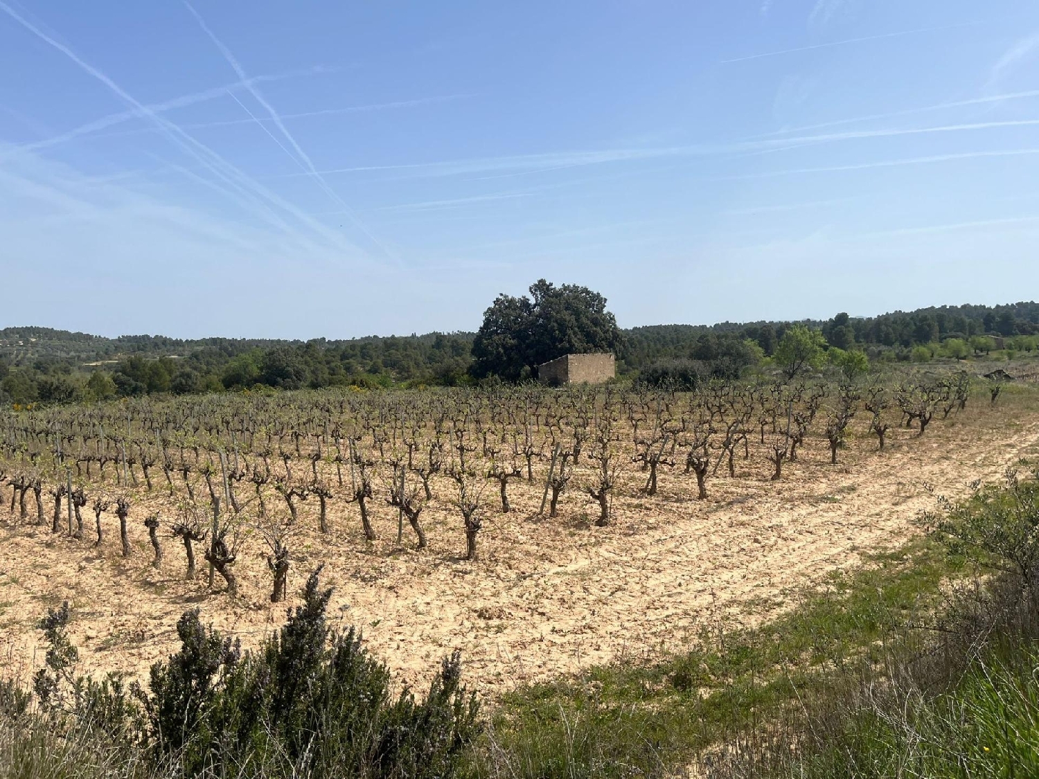  till salu hus på landet Calaceite Matarraña 8