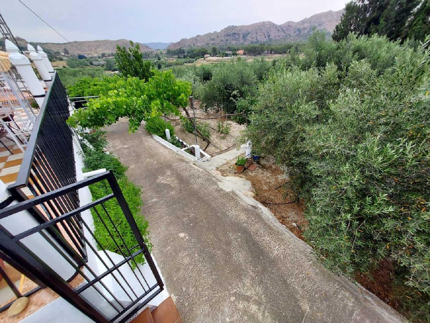  for sale country house Calasparra Noroeste 4