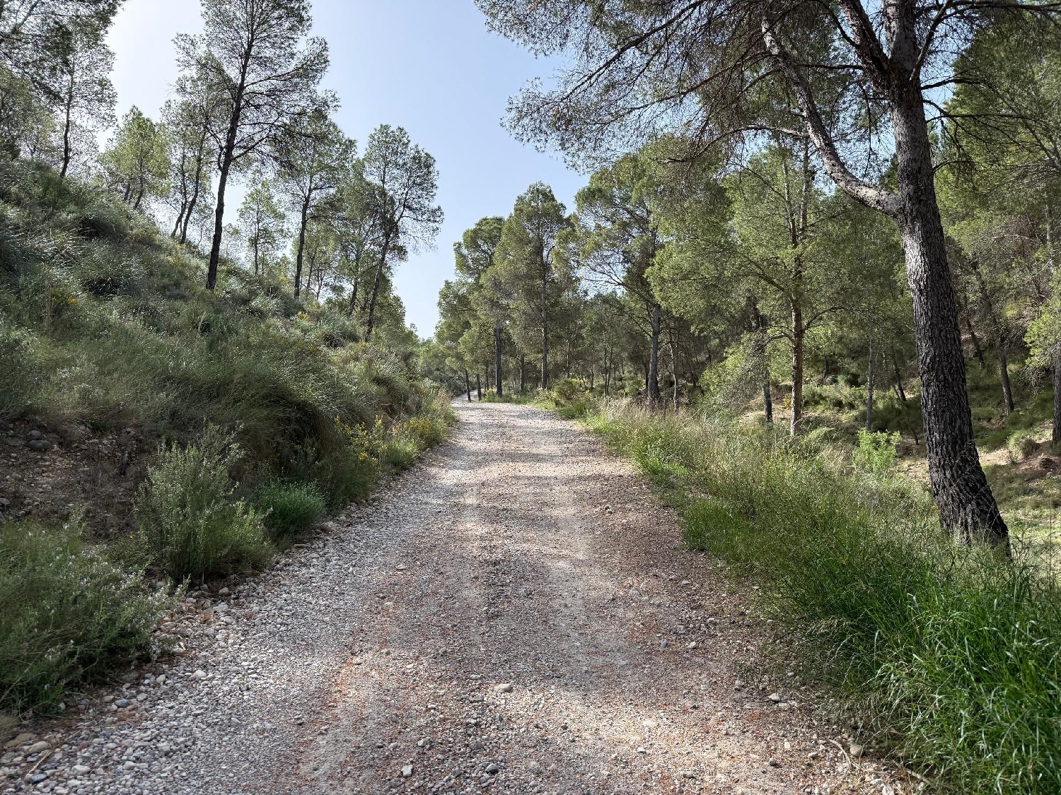  till salu hus på landet Calasparra Noroeste 4