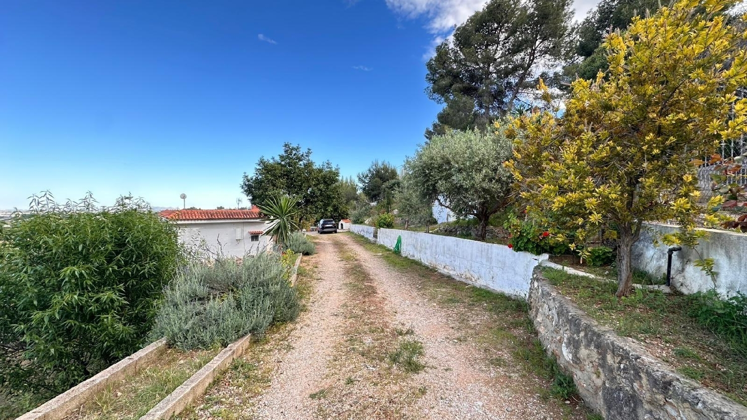  te koop boerderij Carlet Ribera Alta 7