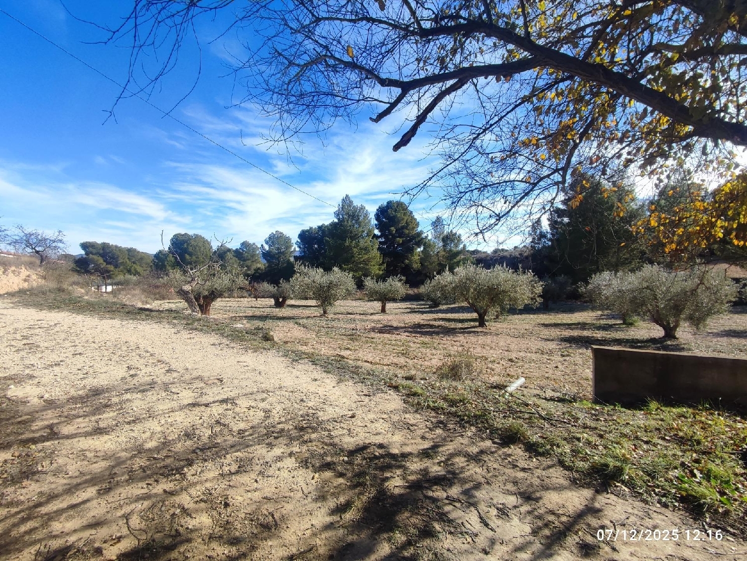  te koop boerderij Castalla Alcoia 8