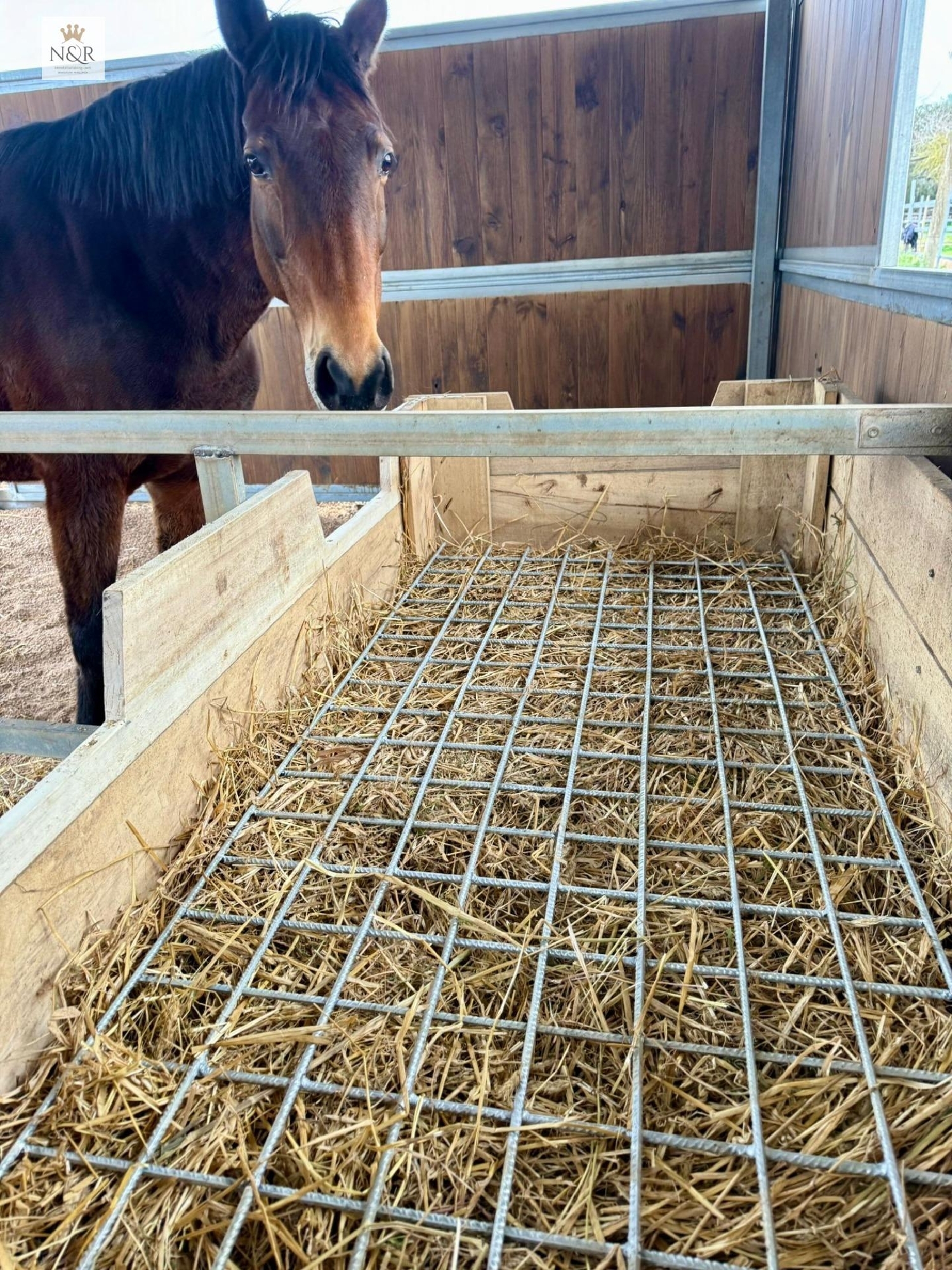  for sale country house Costitx Pla (Es) 4