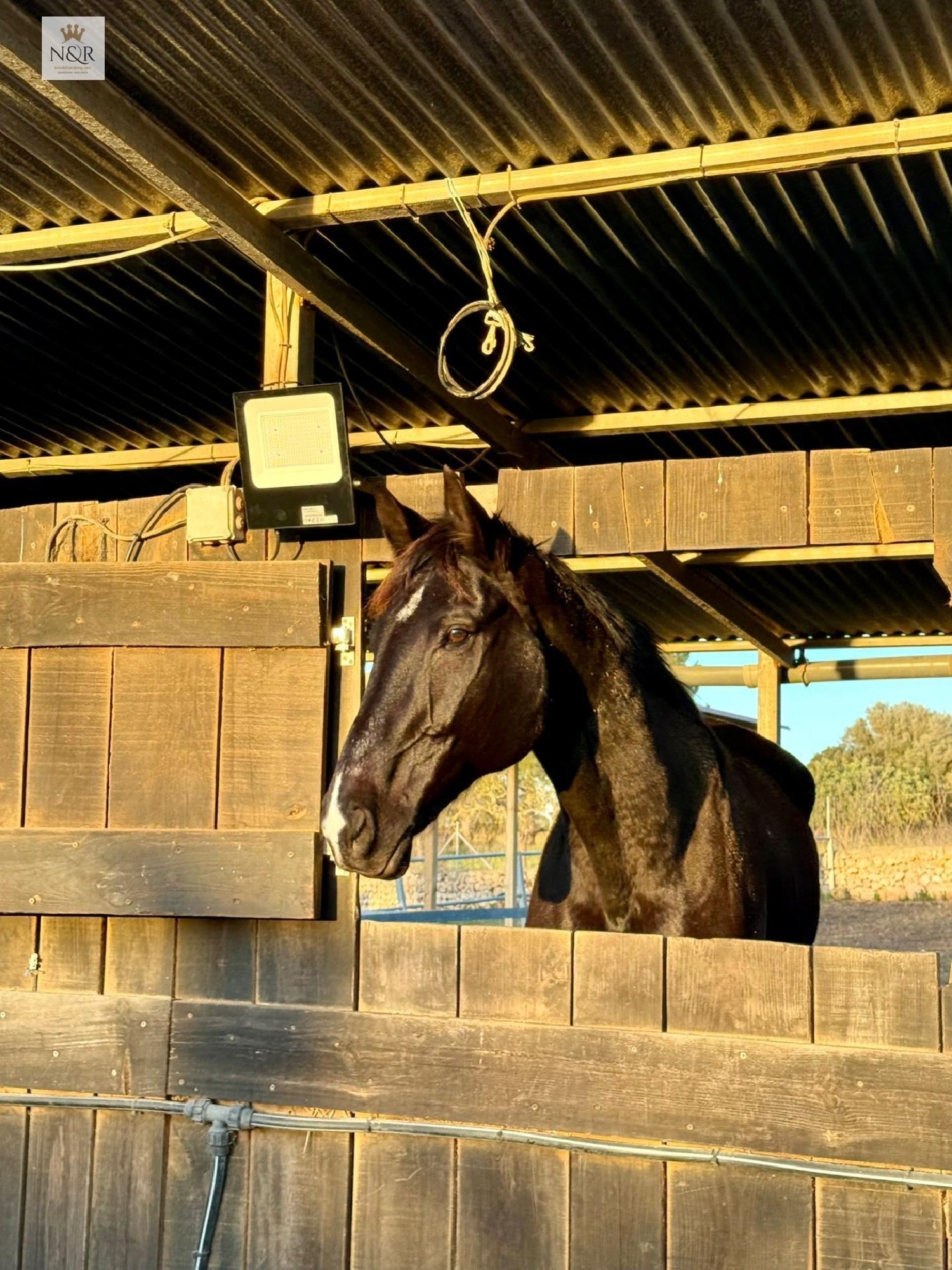  for sale country house Costitx Pla (Es) 5