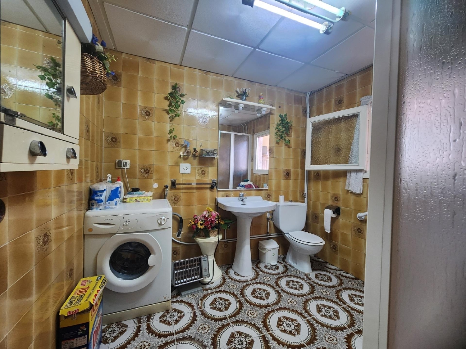  en venta finca rústica Crevillent Baix Vinalopó 3