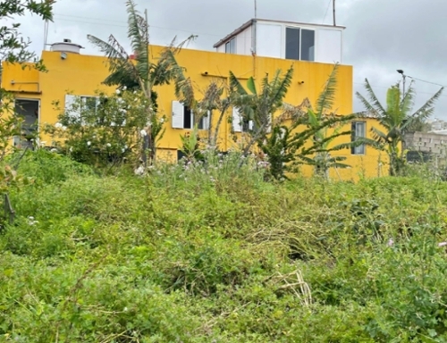 Fuentelespino De Moya Serranía Baja hus på landet foto 6376360