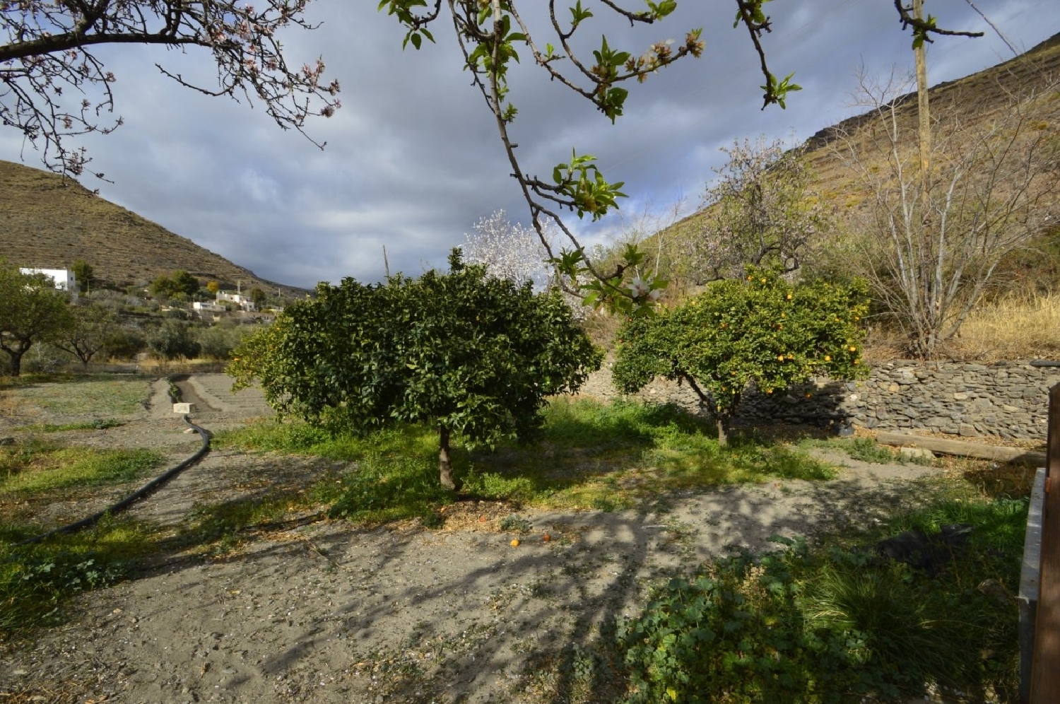  à vendre maison de campagne Gérgal Filabres-Tabernas 8