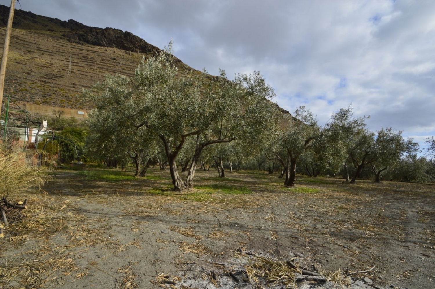  à vendre maison de campagne Gérgal Filabres-Tabernas 7