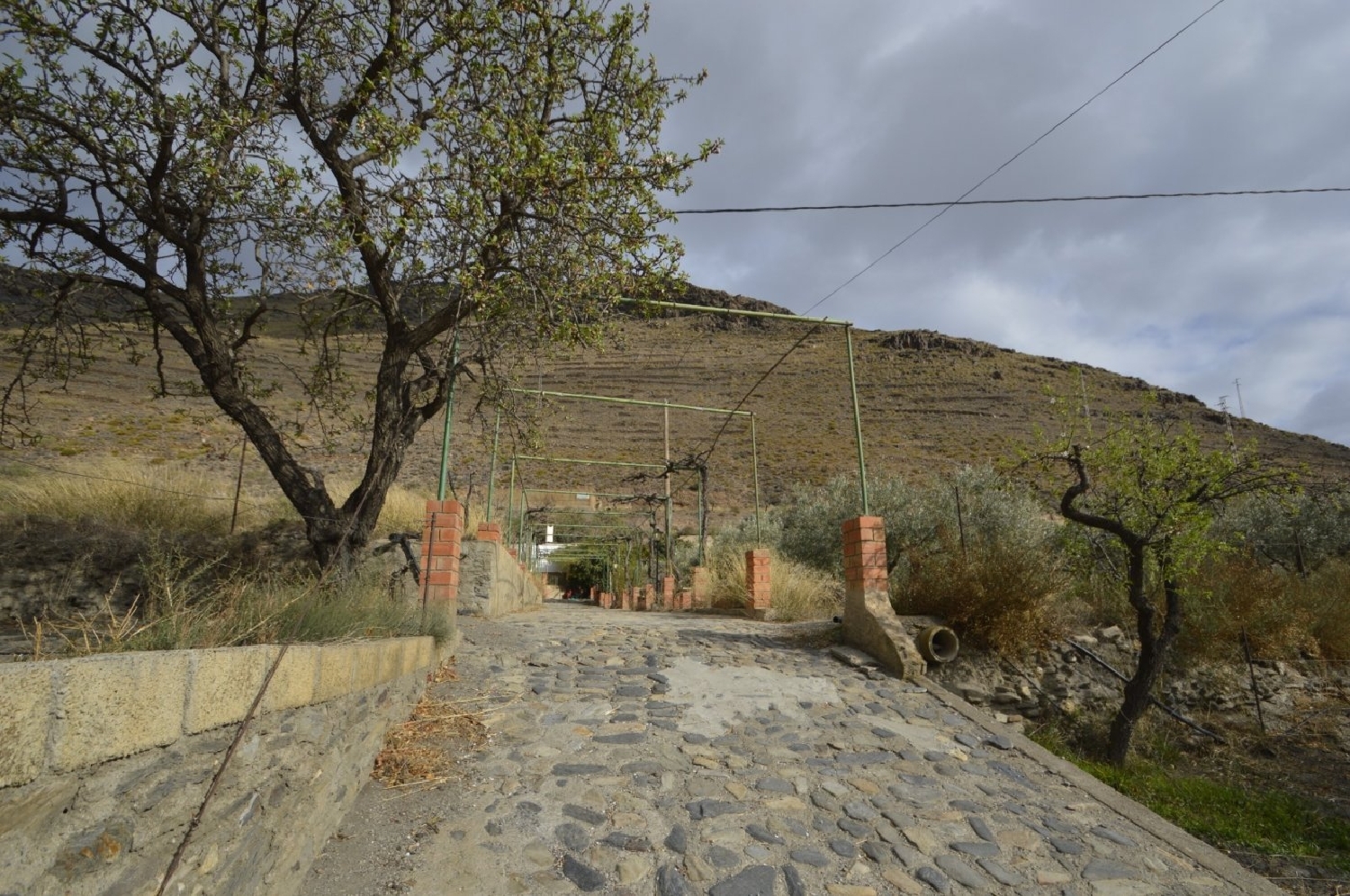  à vendre maison de campagne Gérgal Filabres-Tabernas 3
