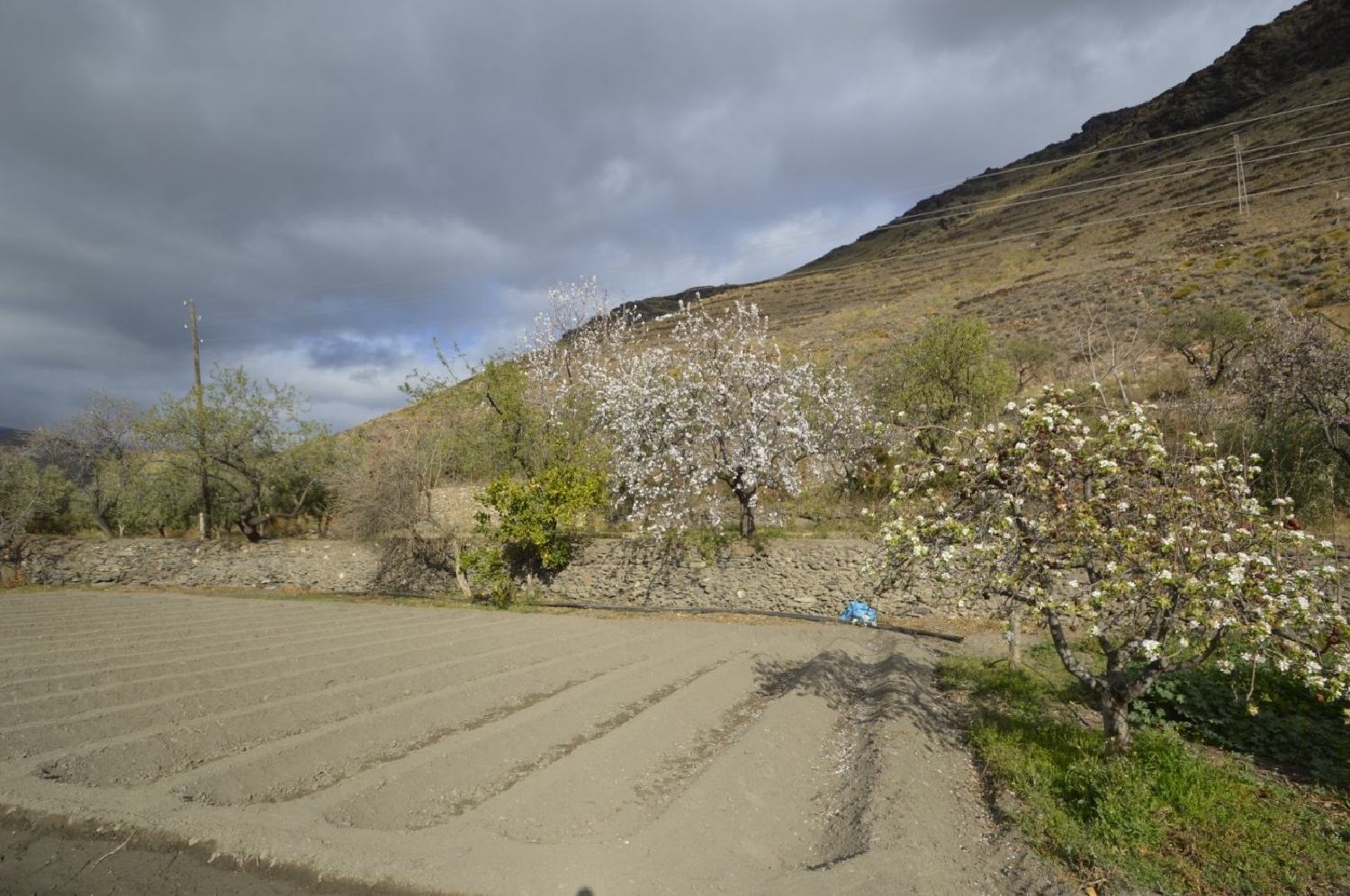  à vendre maison de campagne Gérgal Filabres-Tabernas 5