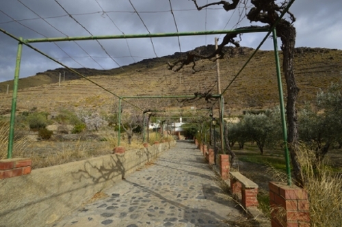 Gérgal Filabres-Tabernas maison de campagne foto 6374189