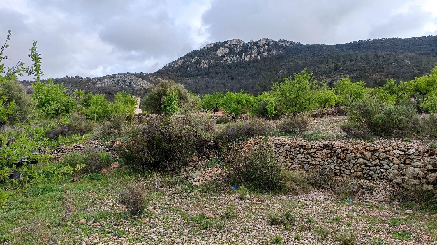  till salu hus på landet Hondón De Las Nieves Vinalopó Mitjà 6