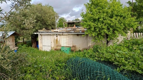 Hondón De Las Nieves Vinalopó Mitjà hus på landet foto 6370953