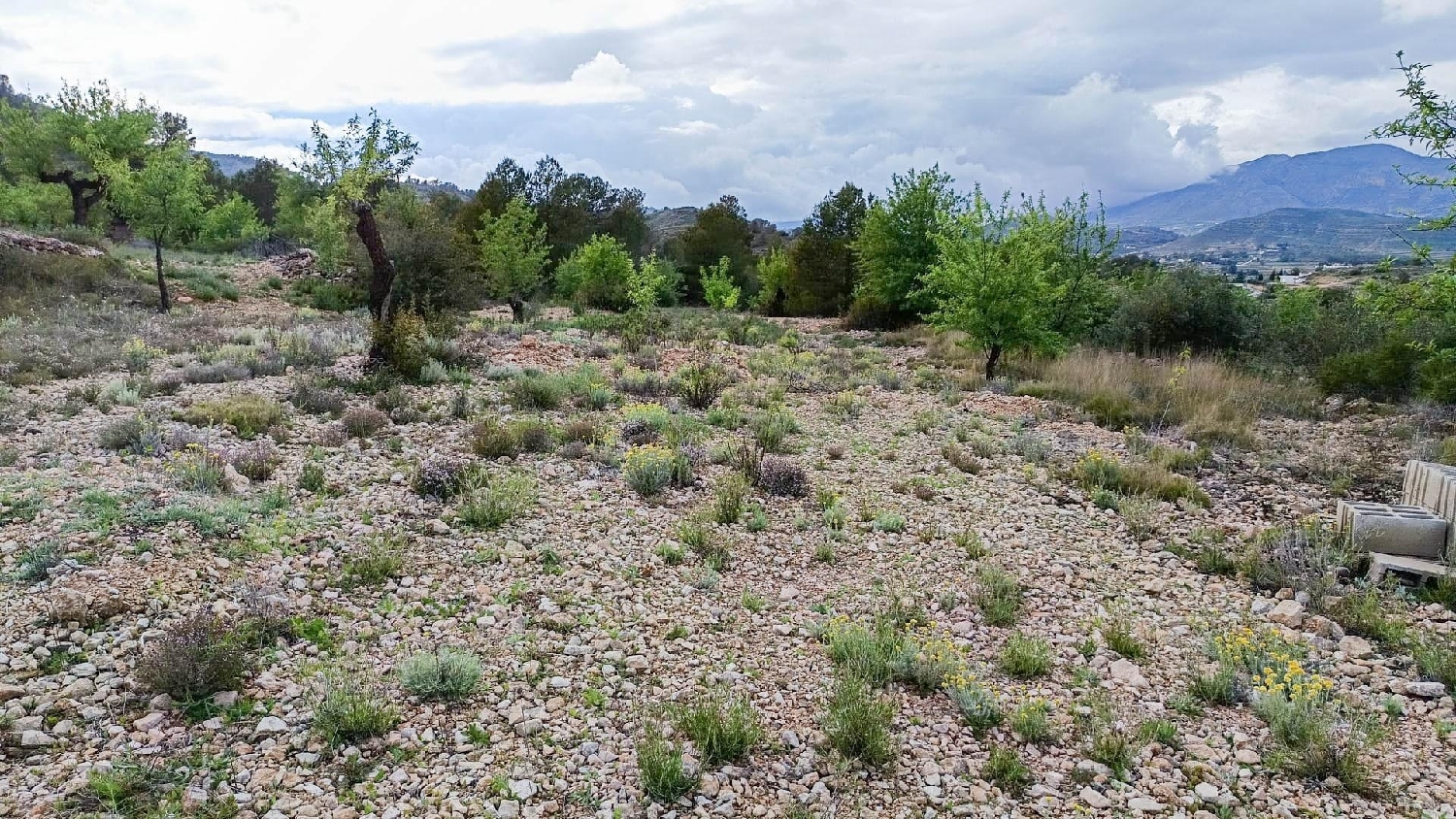  till salu hus på landet Hondón De Las Nieves Vinalopó Mitjà 8
