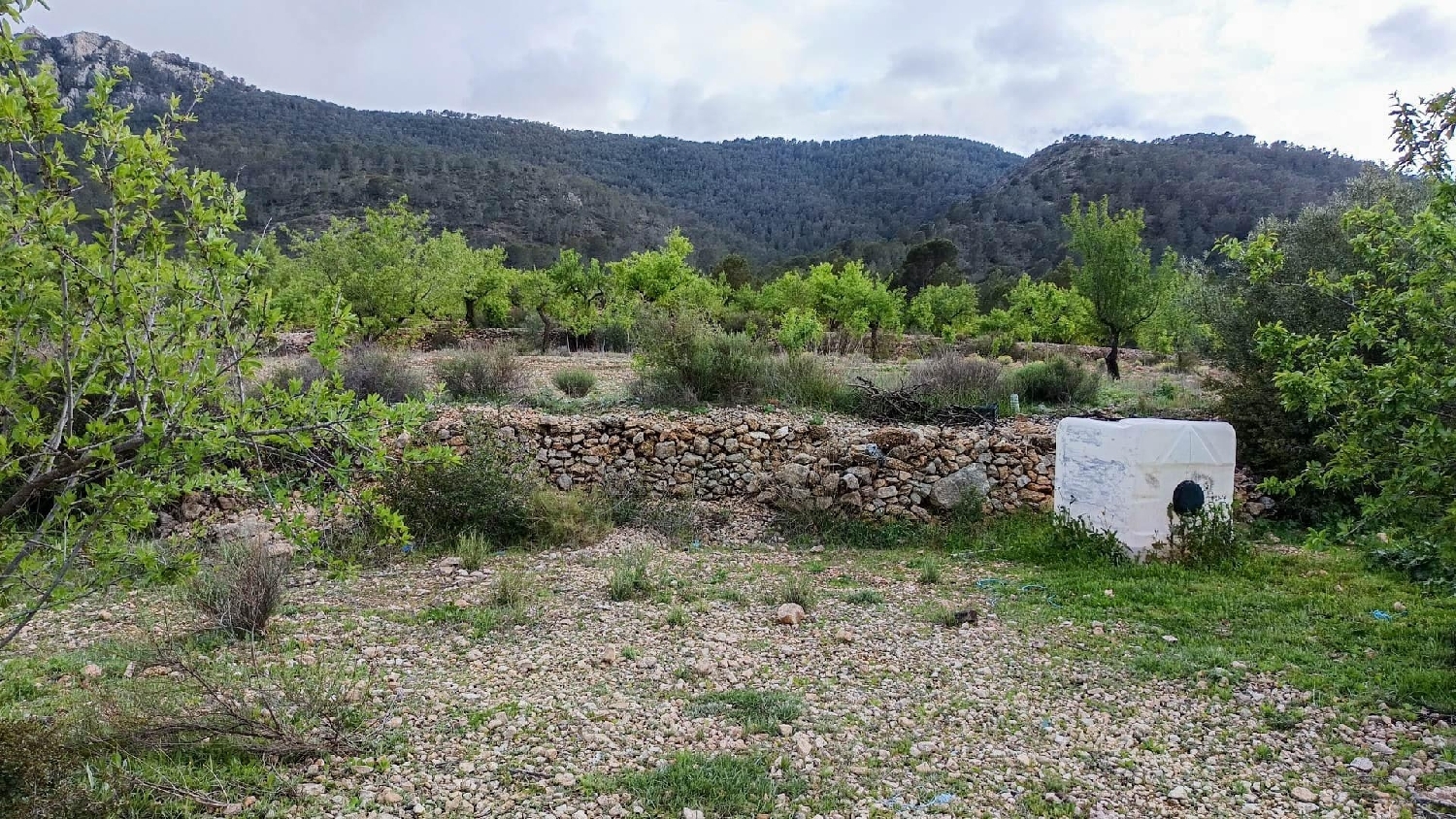  till salu hus på landet Hondón De Las Nieves Vinalopó Mitjà 5