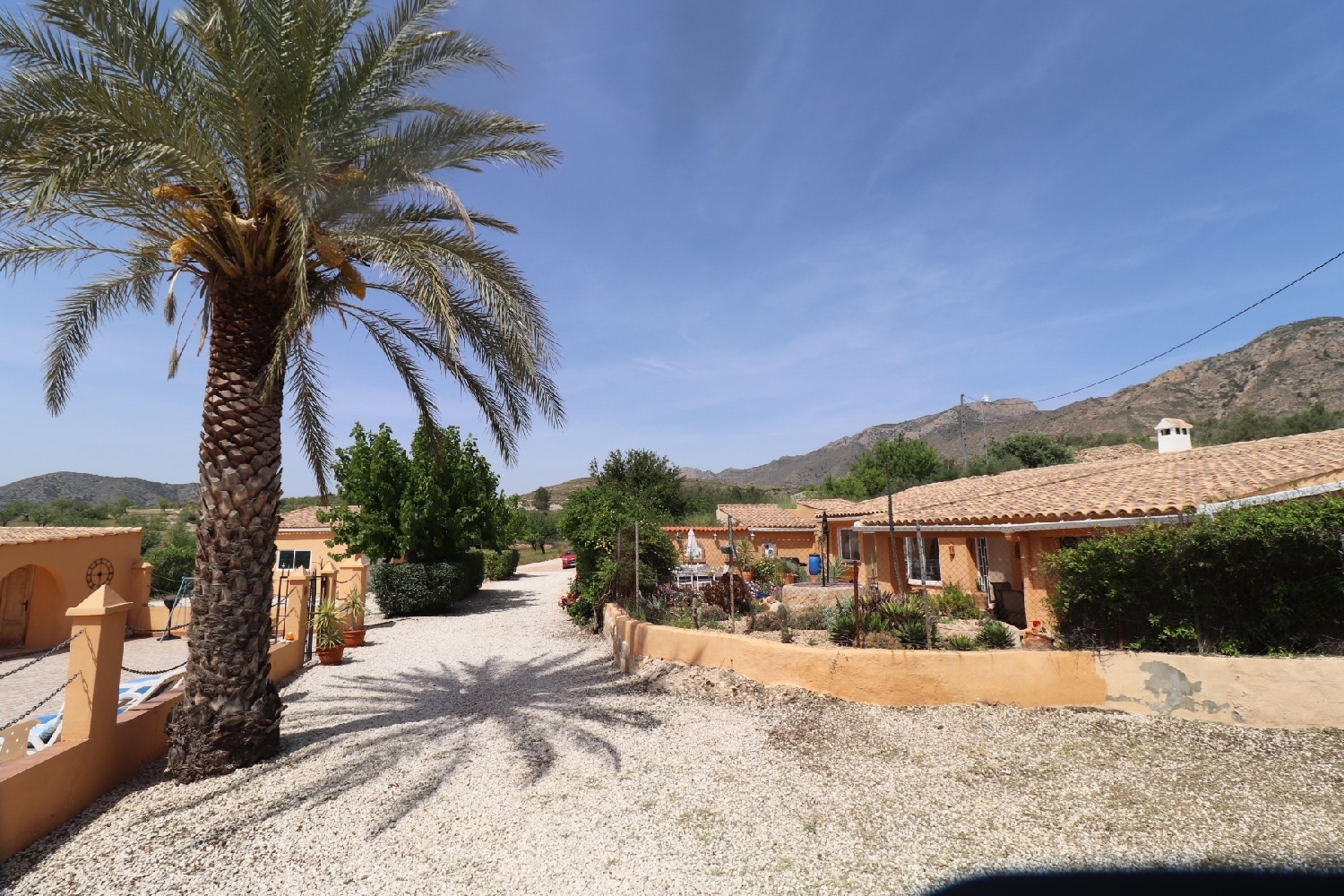  en venta finca rústica Hondón De Las Nieves Vinalopó Mitjà 2