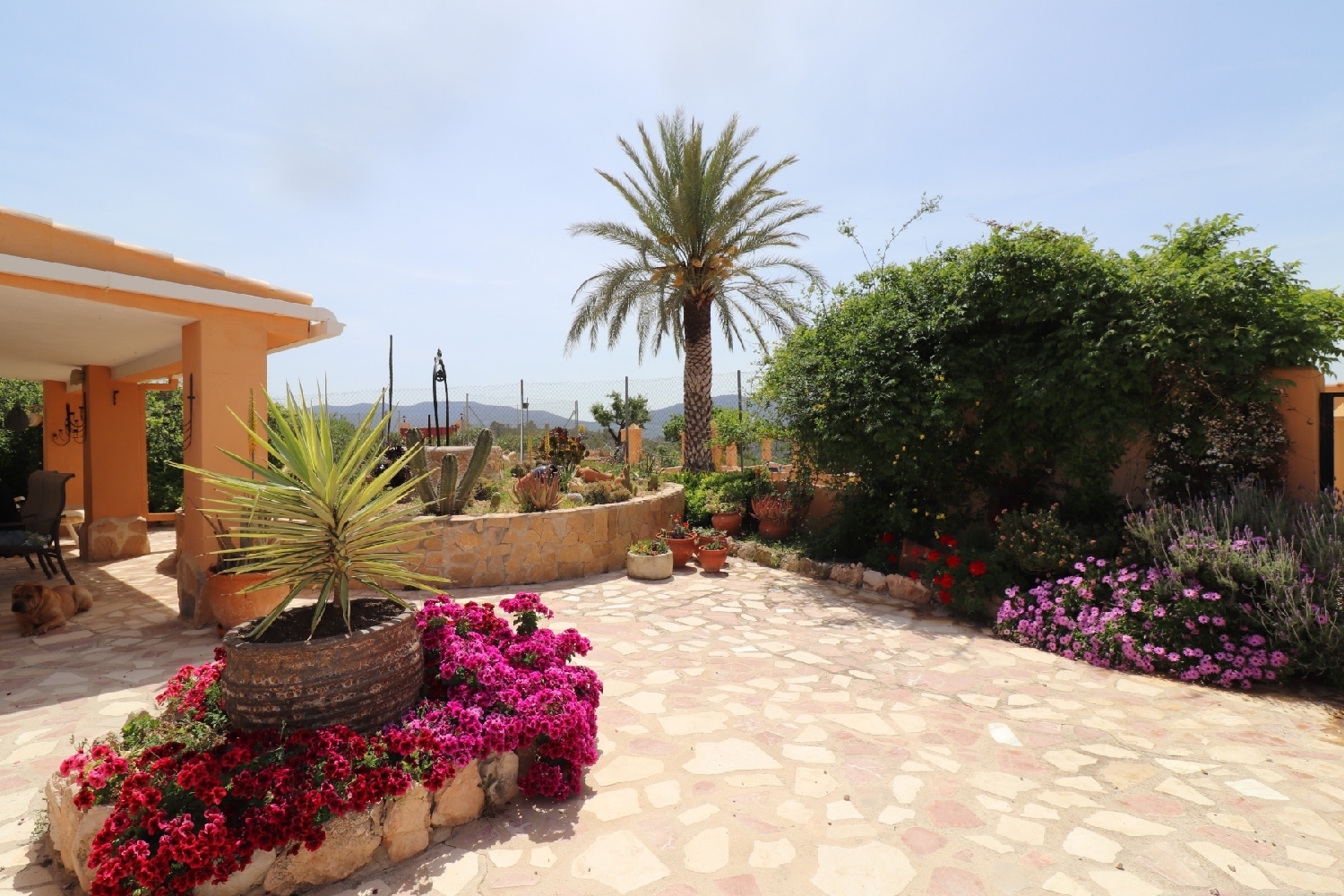  en venta finca rústica Hondón De Las Nieves Vinalopó Mitjà 7