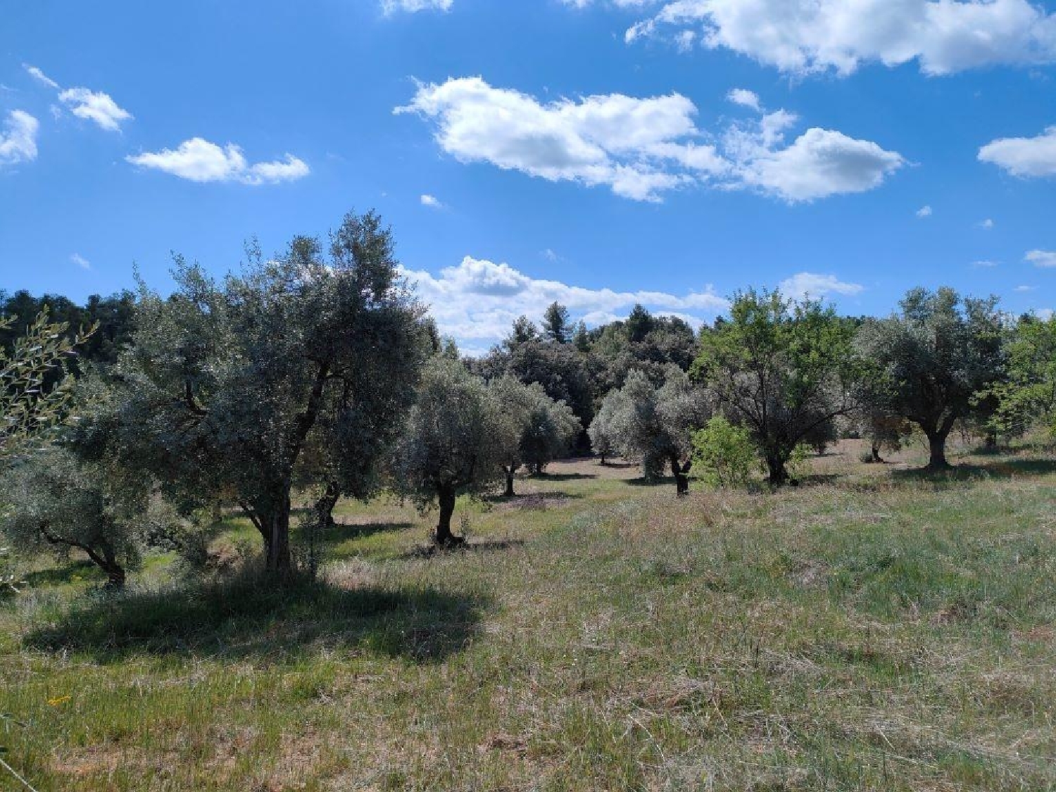  kaufen Landhaus La Fresneda Matarraña 6