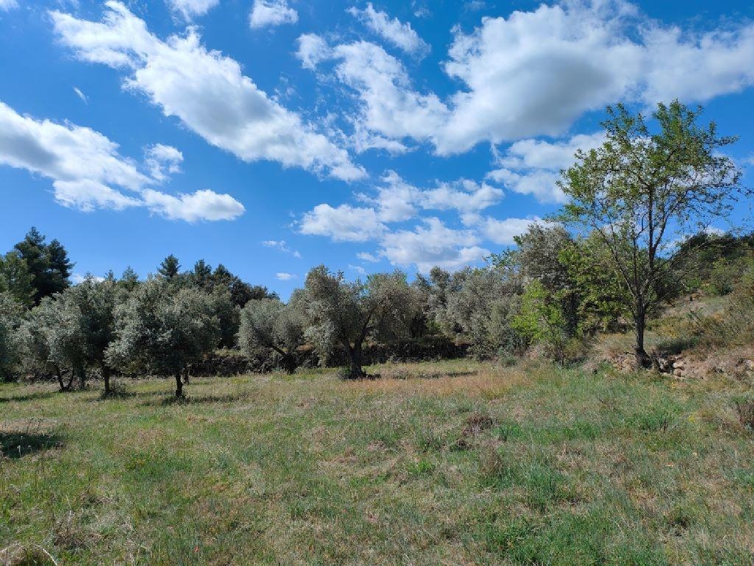  kaufen Landhaus La Fresneda Matarraña 4