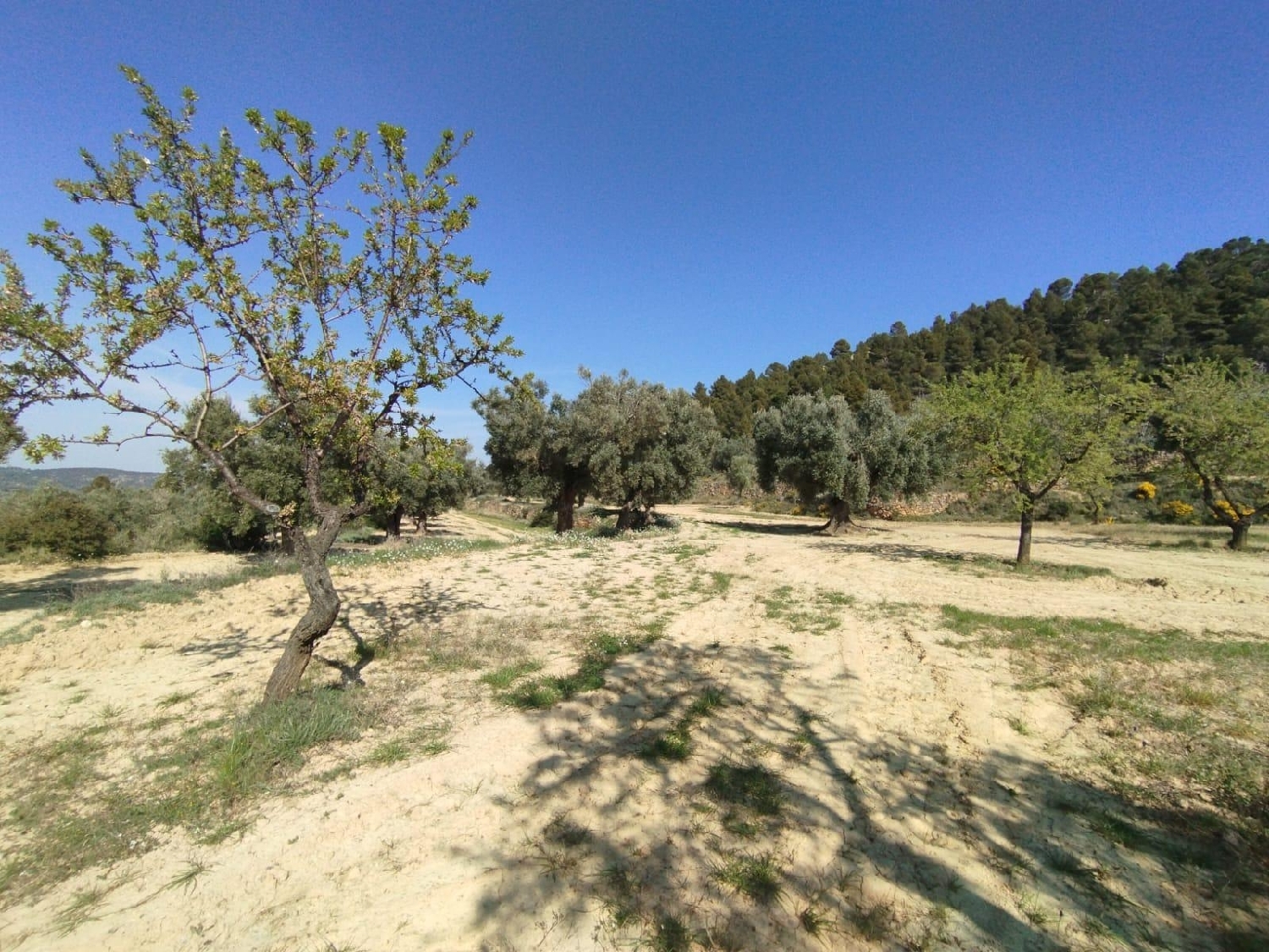  kaufen Landhaus La Fresneda Matarraña 7