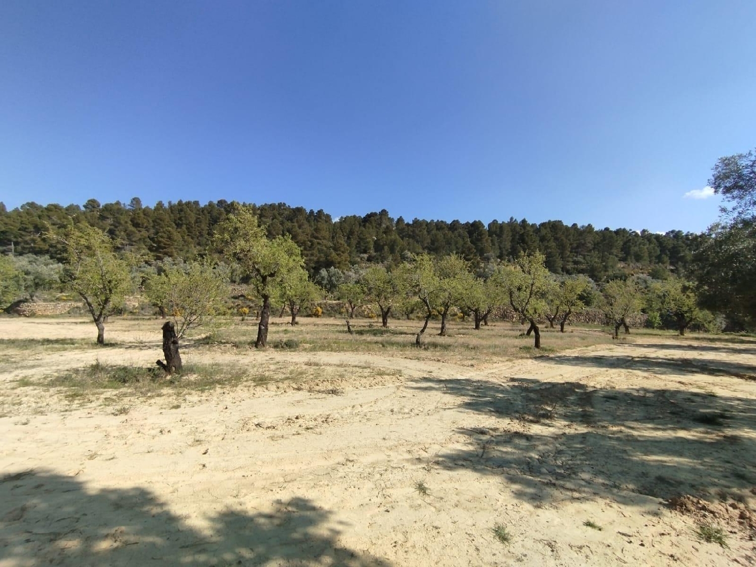  kaufen Landhaus La Fresneda Matarraña 8