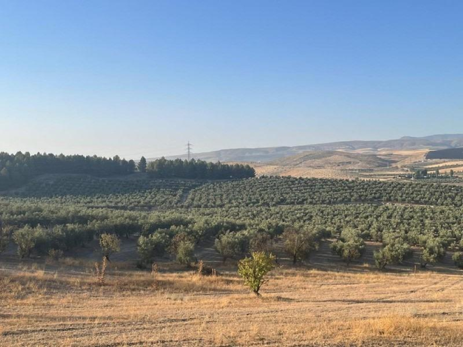  till salu hus på landet La Malahá Alhama 8