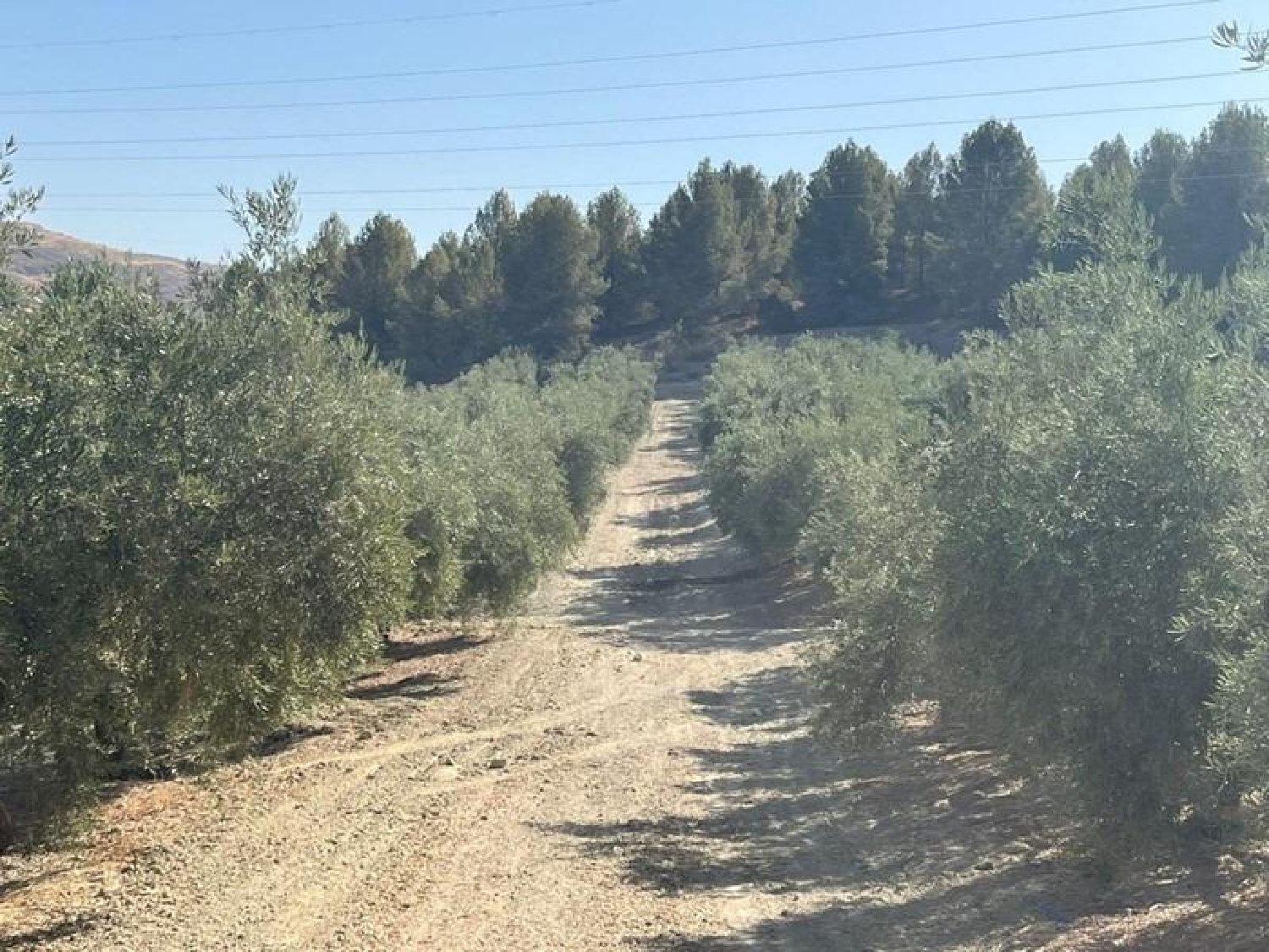  till salu hus på landet La Malahá Alhama 5