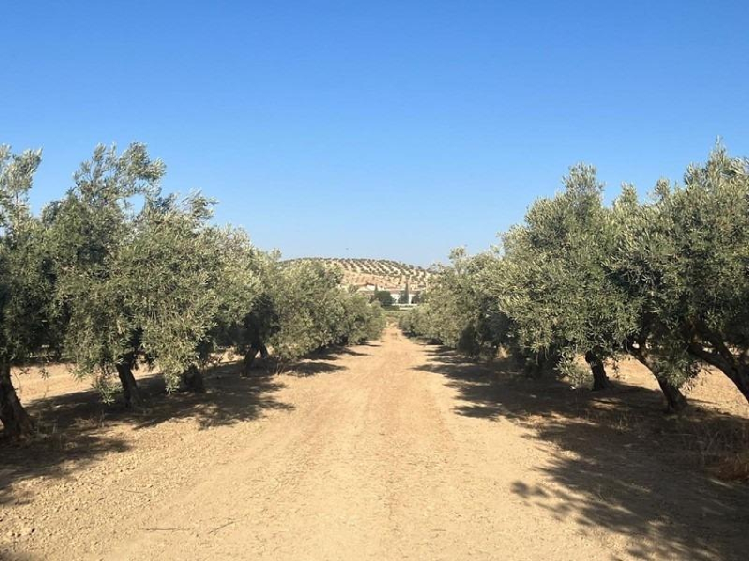  till salu hus på landet La Malahá Alhama 6