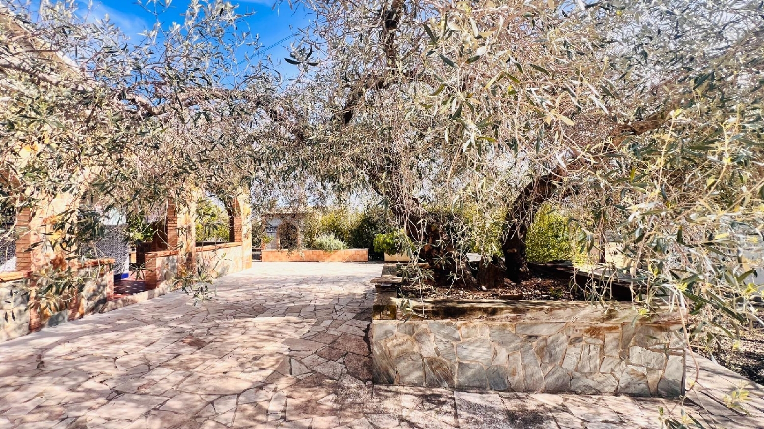  à vendre maison de campagne L'ametlla De Mar Baix Ebre 7