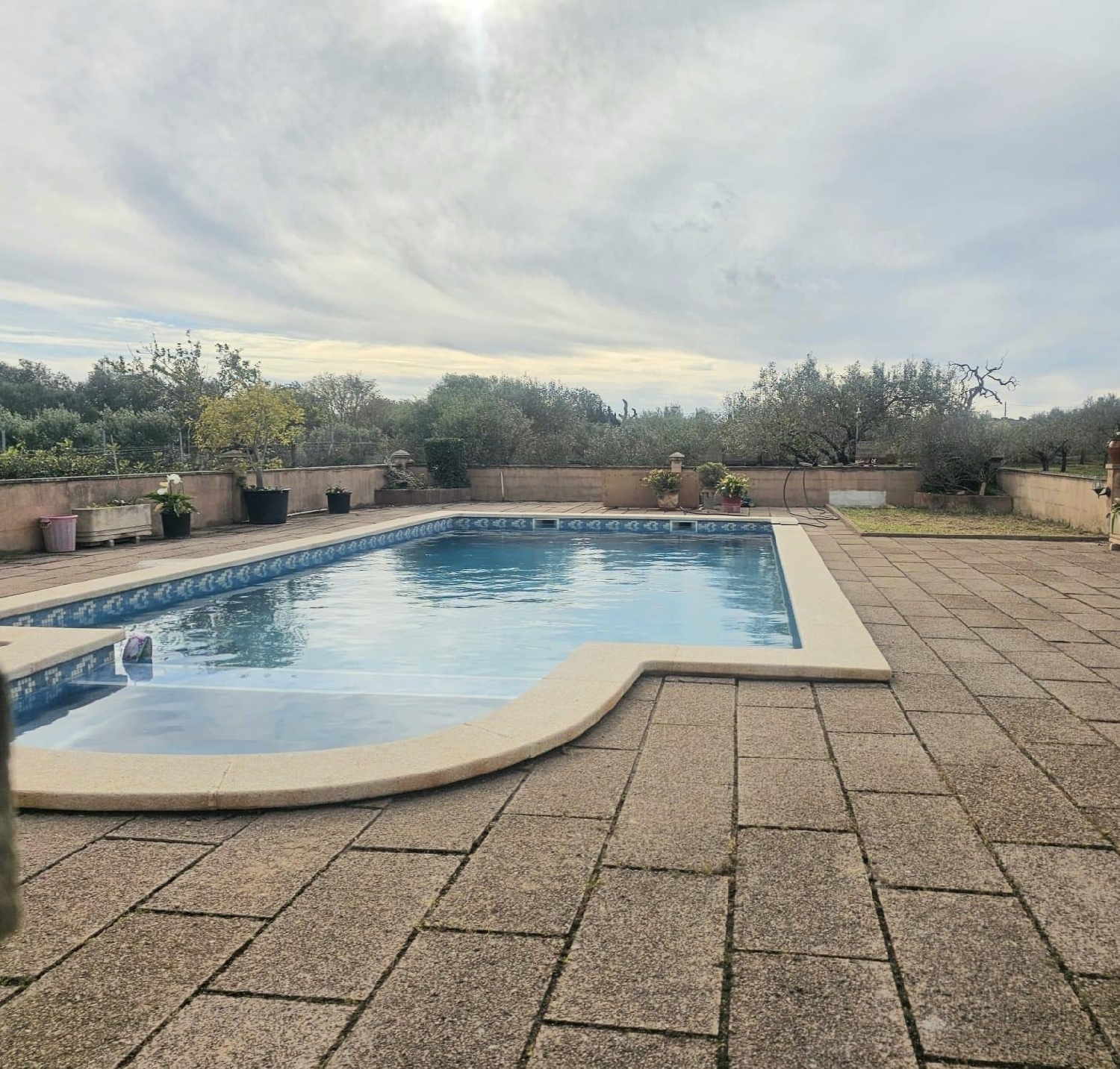  en venta finca rústica Llucmajor Llucmajor 4