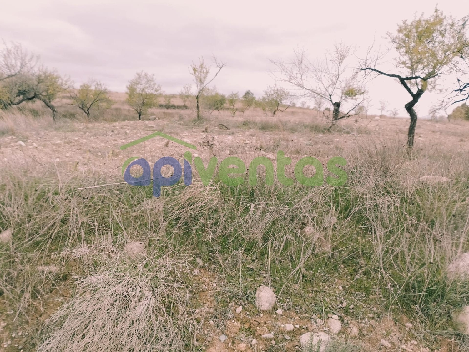  kaufen Landhaus Lorca Alto Guadalentín 4