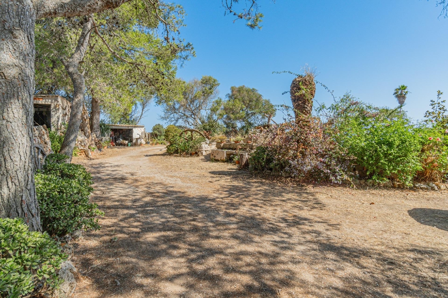  kaufen Landhaus Mahón Mahón 8